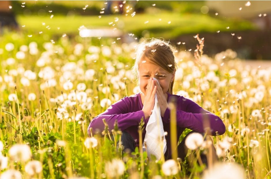 summer allergies